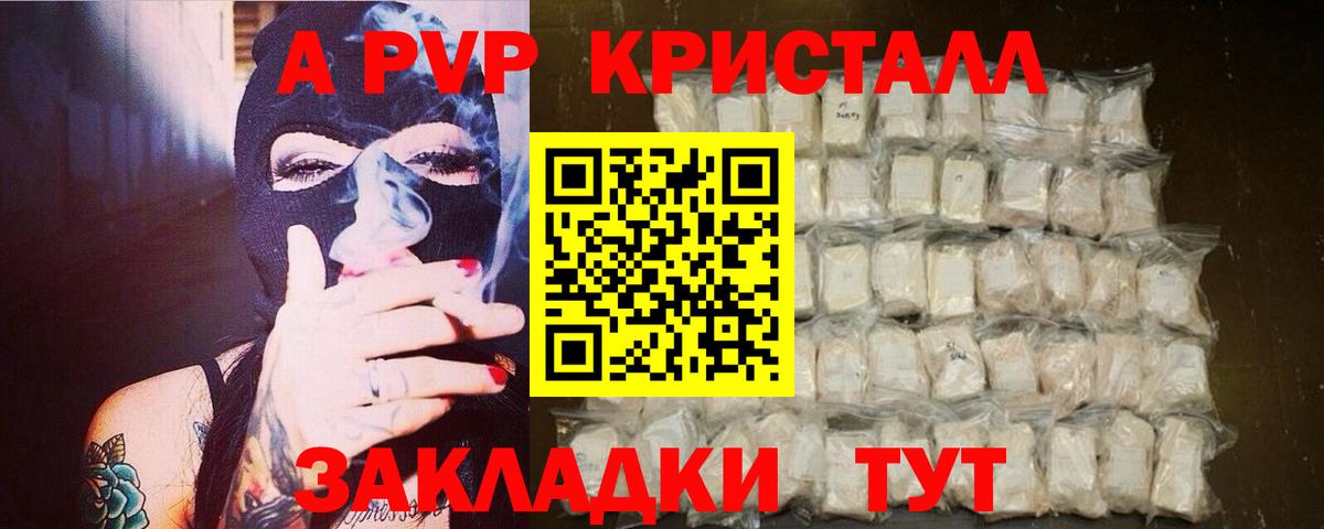 A-PVP СК Шадринск
