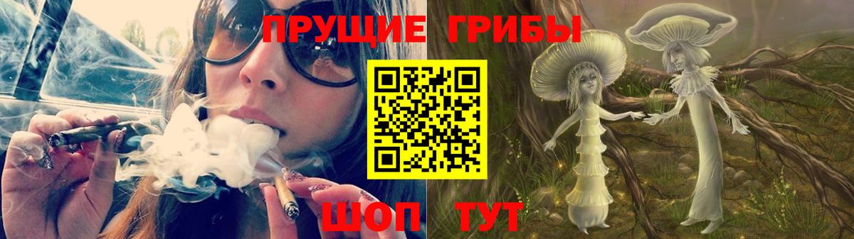 Галлюциногенные грибы Psilocybine cubensis  Вход с VPN  Шадринск  Галлюциногенные грибы Magic Shrooms 